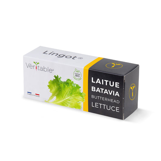 Lingot® Lechuga batavia